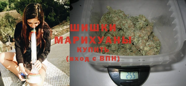 шишки Лагань