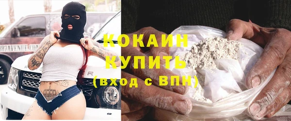 шишки Лагань